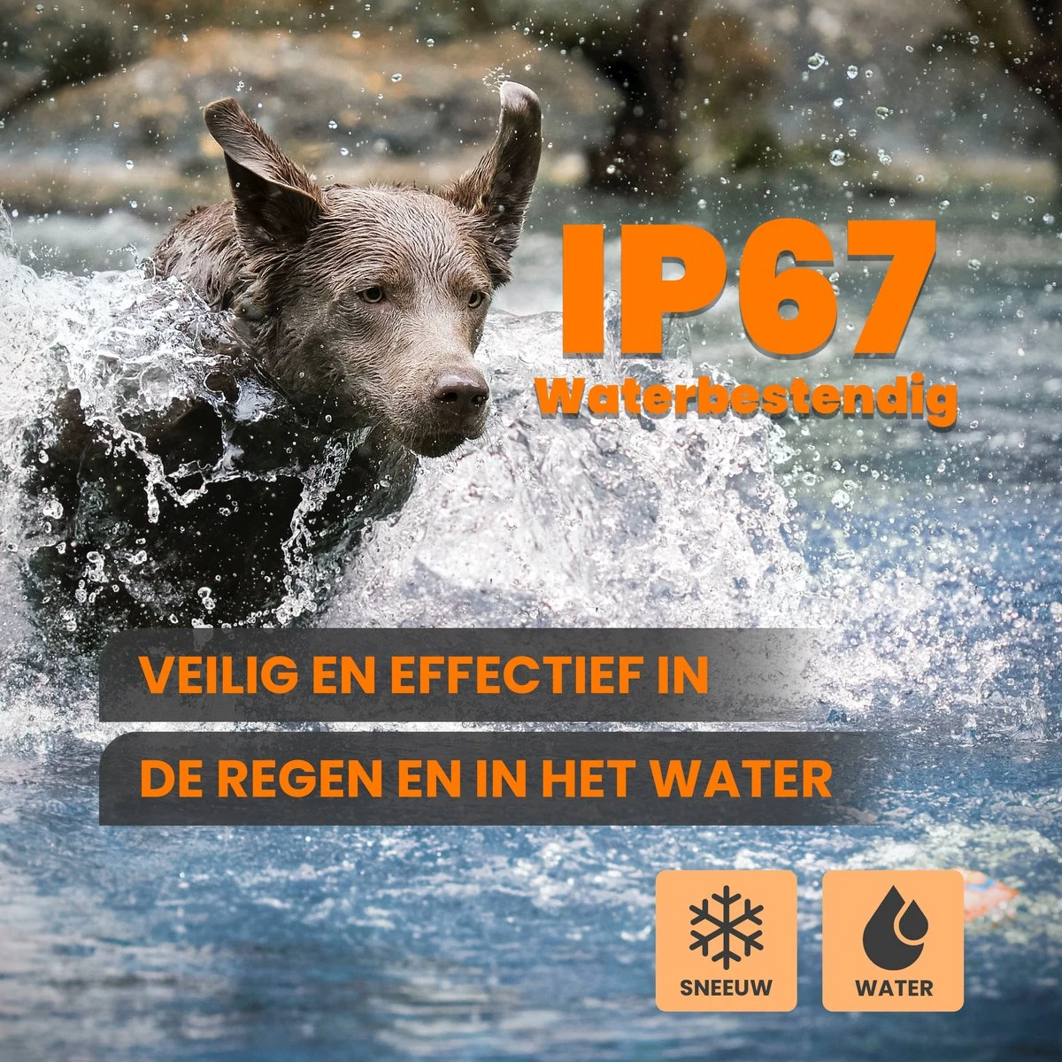 DOSCA® Anti Blafband - Anti Blaf Apparaat - Blafband Voor Honden - Zonder Schok En Diervriendelijk - Afbeelding 6