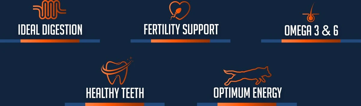 Avalon Petfood Original - Hondenvoer - 20 Kg - Afbeelding 2