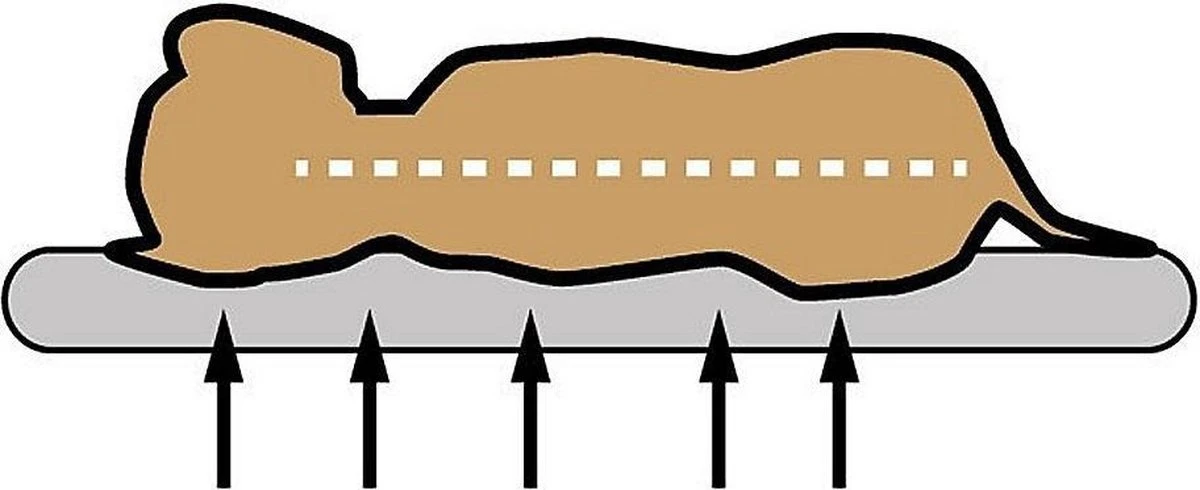 Sun Garden Buddy Orthopedisch Hondenkussen 72x50x8cm Antraciet - Afbeelding 3