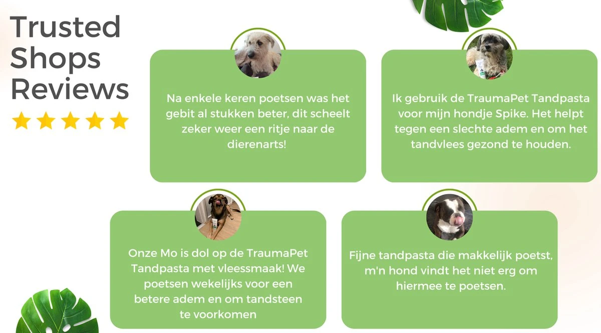 TraumaPet Tandpasta Met Colloïdaal Zilver Voor Dieren | Met Vleessmaak | Bij Stinkende Adem | Tandplak | Geïrriteerd Tandvlees | Tandsteen - Afbeelding 3
