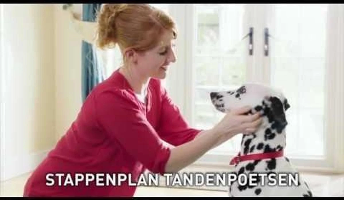 Beaphar Tandenborstel - Afbeelding 5