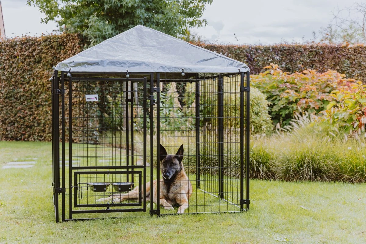 MaxxPet Hondenkennel - Hondenkennel Met Afneembaar Dak - Geschikt Voor Buiten En Binnen - 142 X 142 X 153 Cm - Afbeelding 4