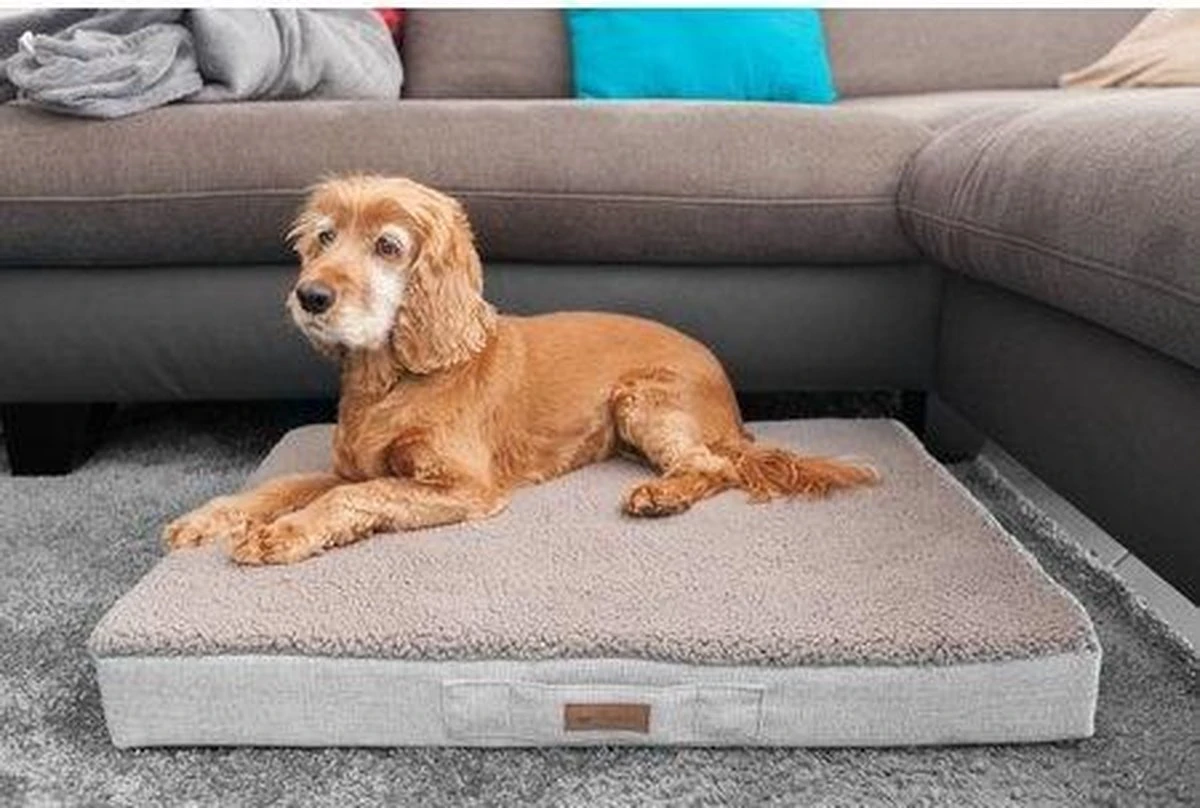 Petlando Orthopedisch Ligbed Merano Stone M - Hond - Afbeelding 2