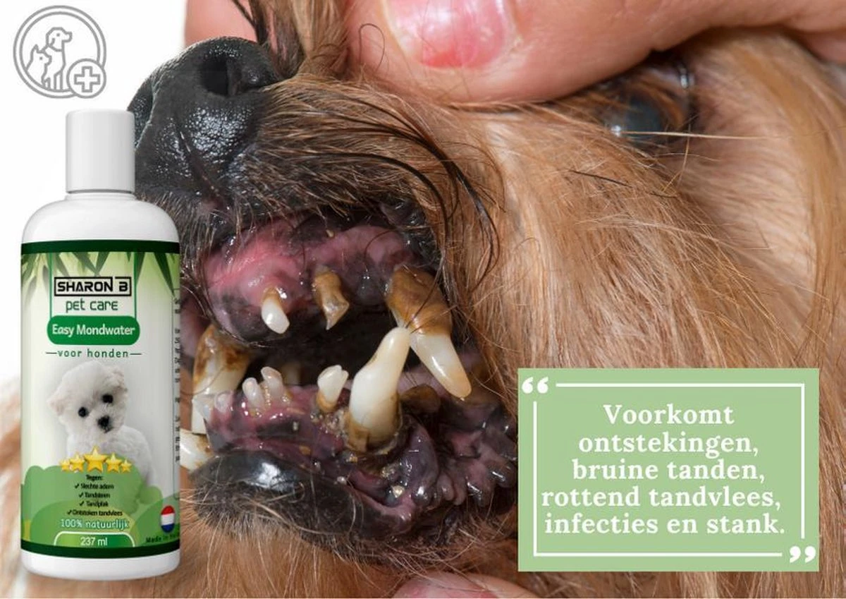 Easy Mondwater Voor Honden - 237 Ml - Tegen Stinkende Adem - Tandplak - Tandsteen - Tandvleesproblemen - Afbeelding 4