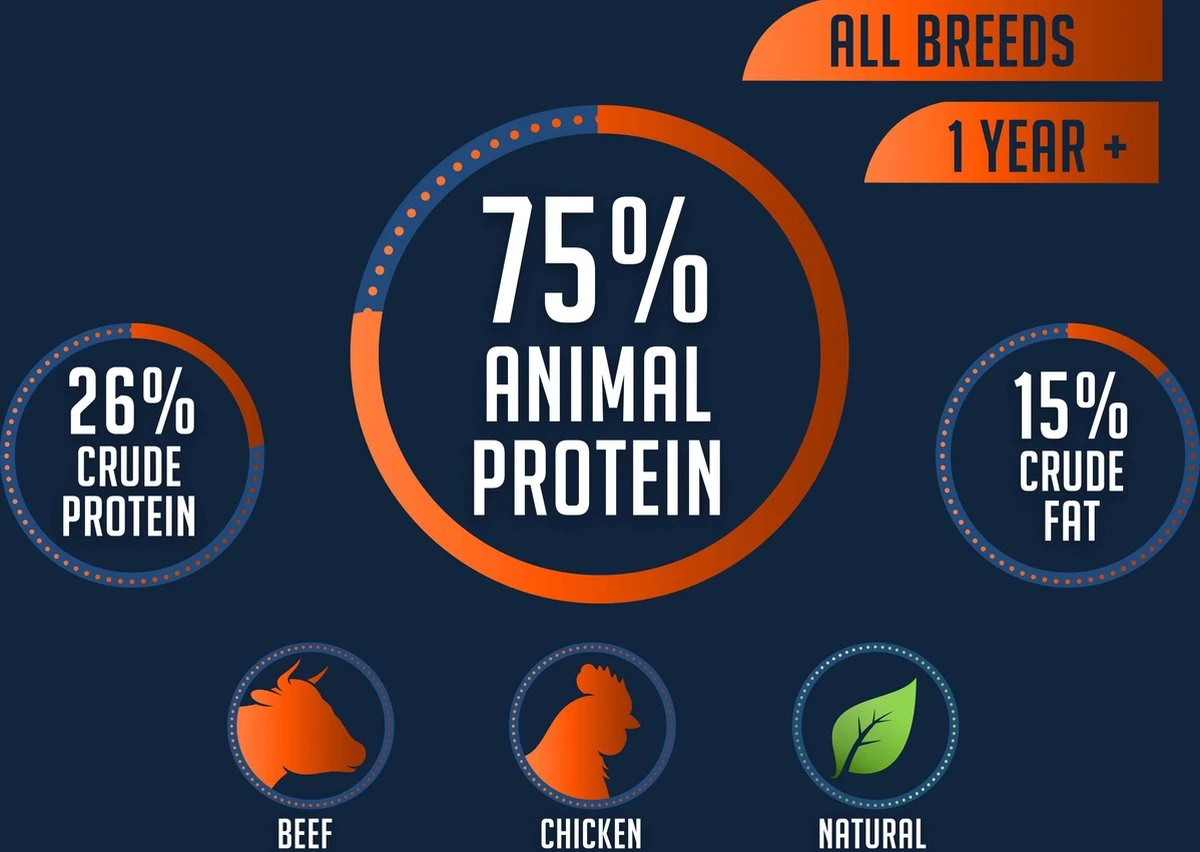 Avalon Petfood Original - Hondenvoer - 20 Kg - Afbeelding 6