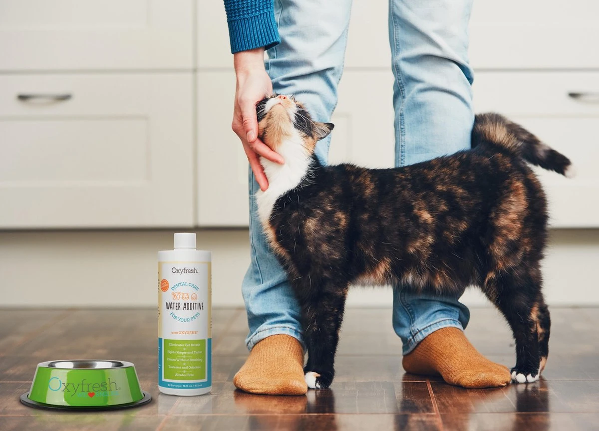 OxyFresh Pet Mondwater Hond En Kat. Helpt Tegen Tandsteen, Plak En Vieze Ademgeurtjes - Afbeelding 3
