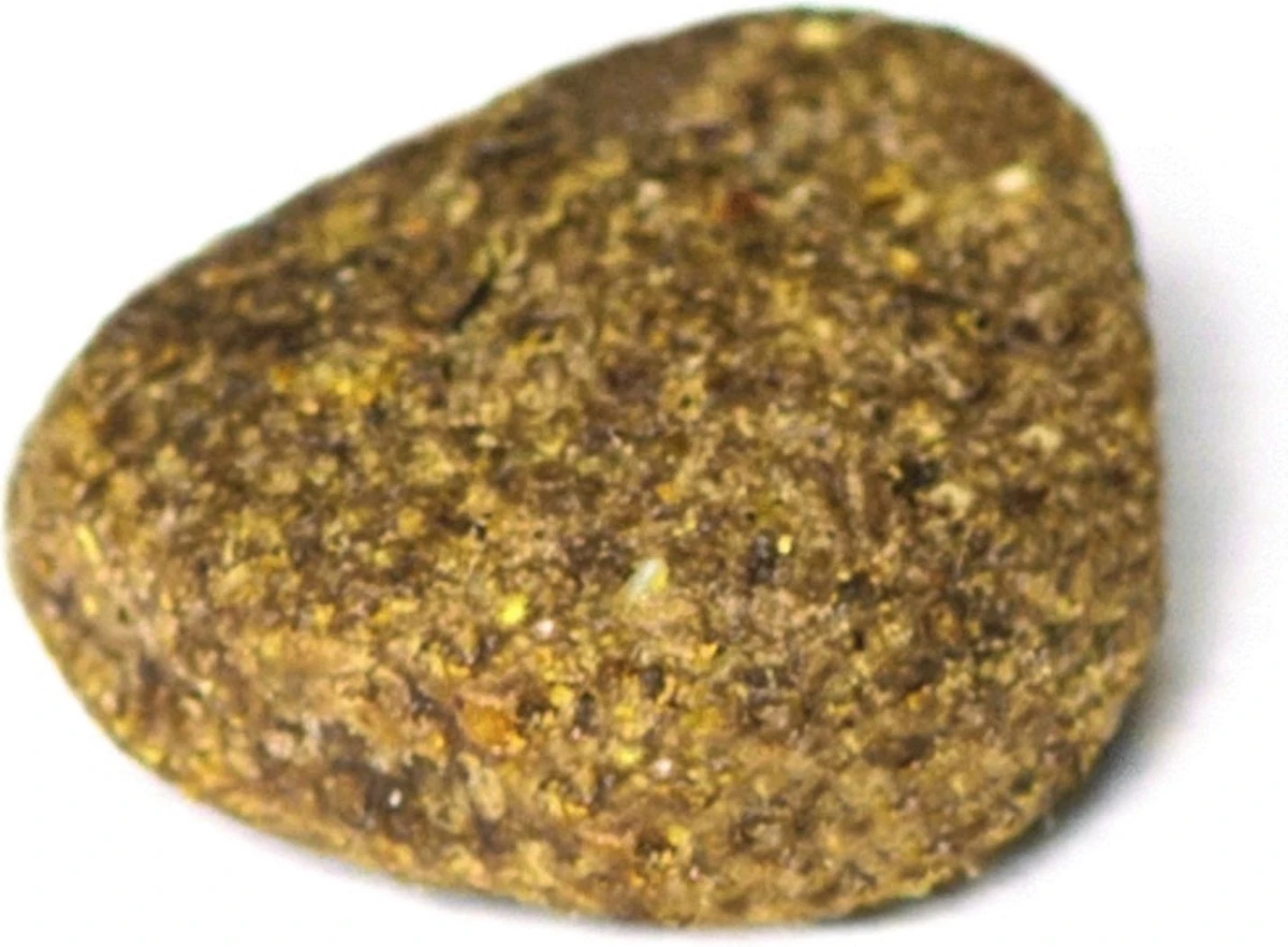 Prins ProCare Croque Lam & Rijst Senior 10 Kg - Hond - Afbeelding 10