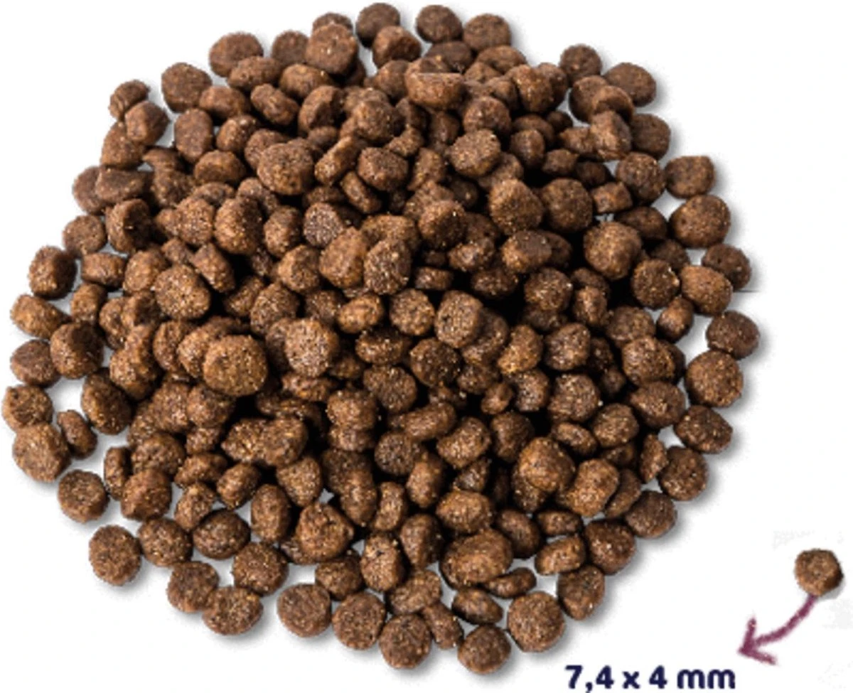 Renske - Super Premium Puppy Verse Kip En Lam - Hond 12 Kg - Afbeelding 2